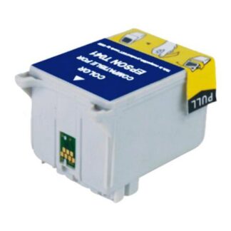 Comp Epson T041040 Inkjet